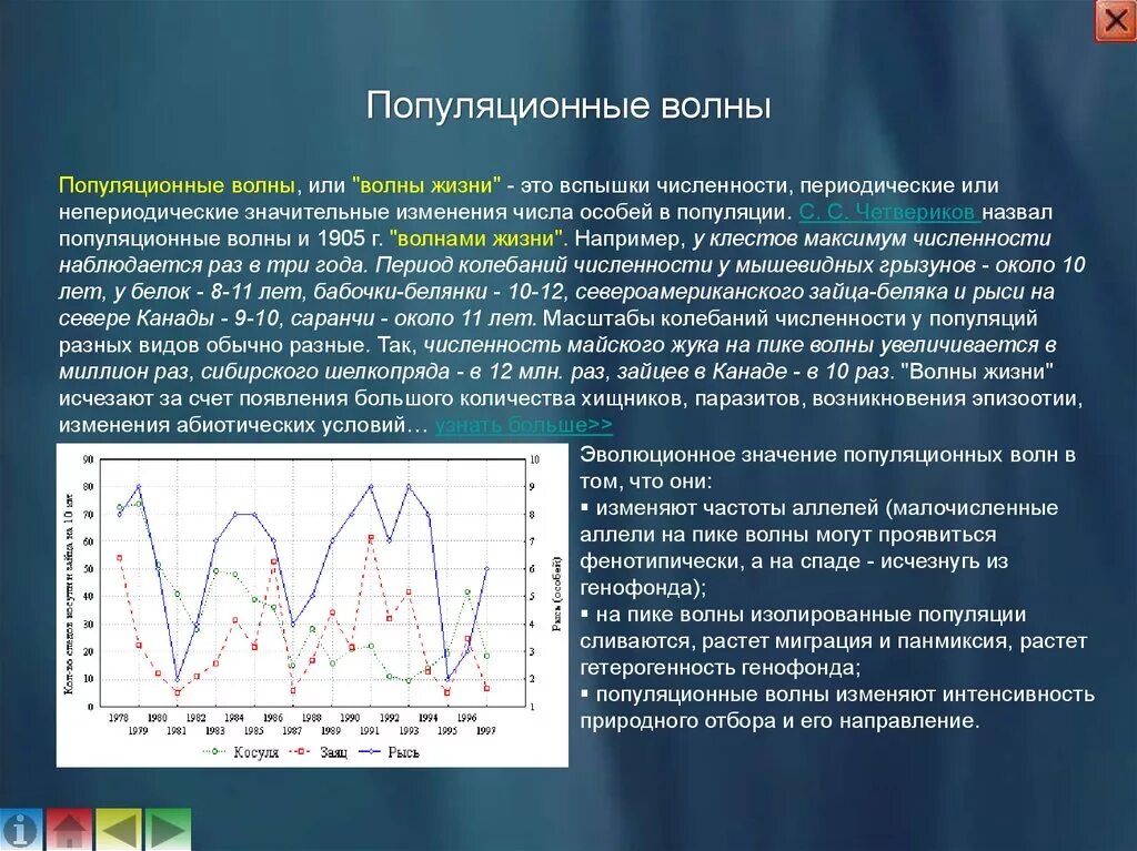 Численность особей равна. Волны жизни популяционные волны. Волны жизни фактор эволюции. Популяционные волны, "волны жизни"(с. с. Четвериков) -. Четвериков популяционные волны.