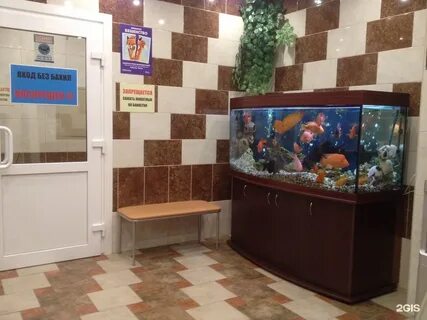 Золотое руно ветеринарный
