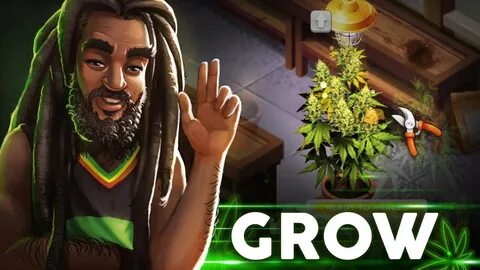 Start grow