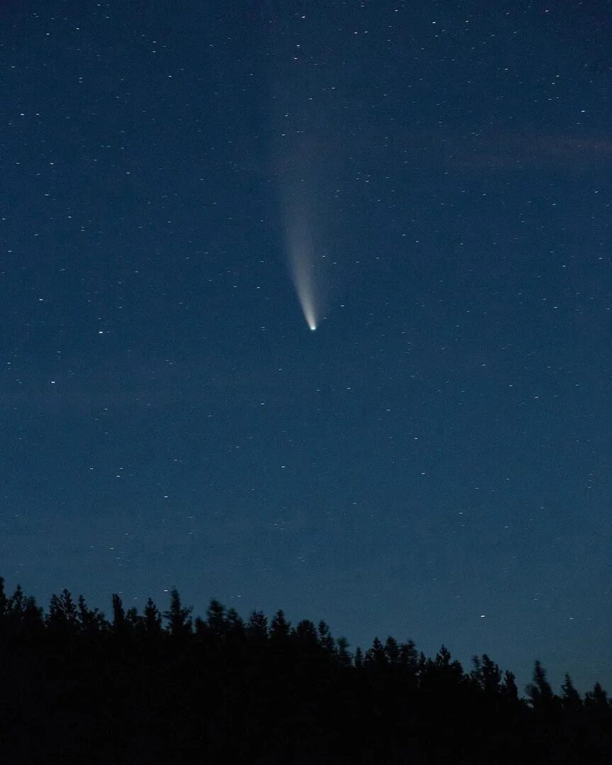 Комета в хабаровске сегодня. Комета NEOWISE. Комета 2020 NEOWISE. C/2020 f3.