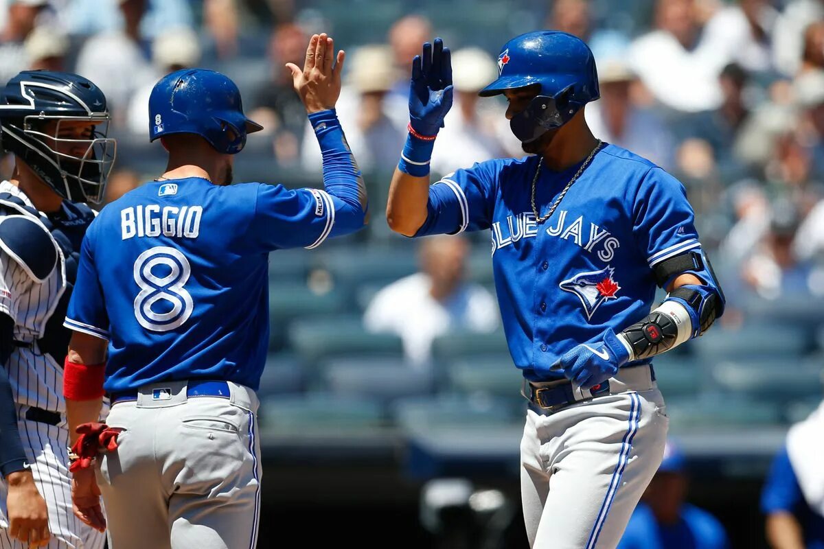 Торонто блю джейс прогноз. Торонто блю джейс. toronto blue jays nfl. нью йорк янкиз канзас сити роялс счёт матча.