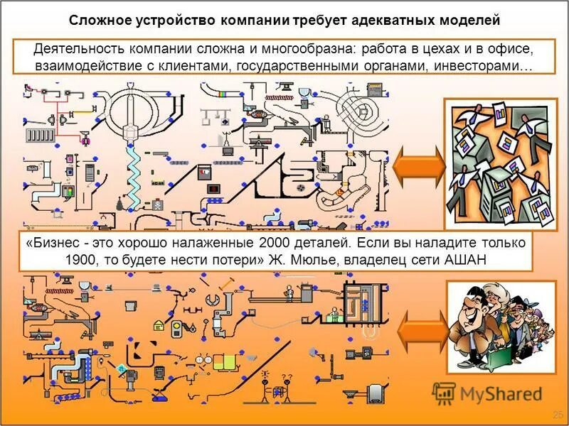 Организация сложный организм