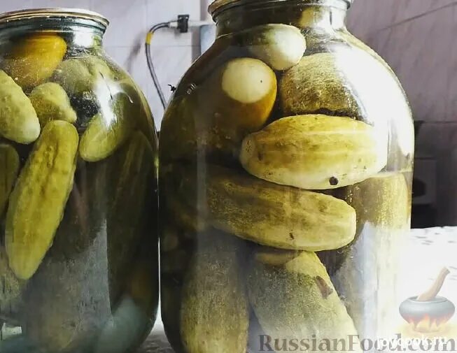 Семена огурцов консервирования. Семена огурцов консервирования