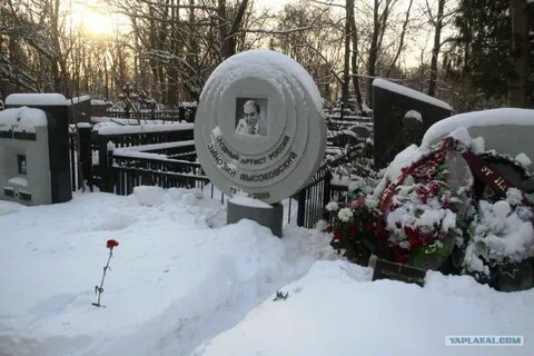 Медков фото