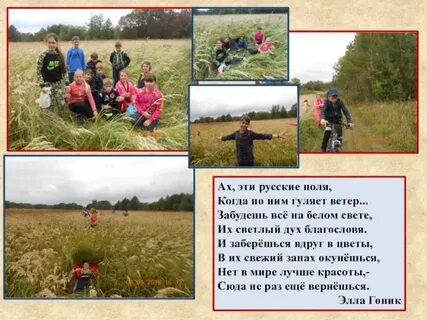 Ах поле поле что растет