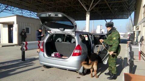Таможенный досмотр транспортного средства