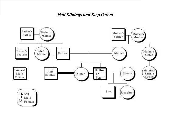 Генеалогическая схема с сиблингами. Схематическое семейное Древо. Семейное Древо на 7 человек шаблон. Генеалогическое дерево шаблон для заполнения без фотографий.
