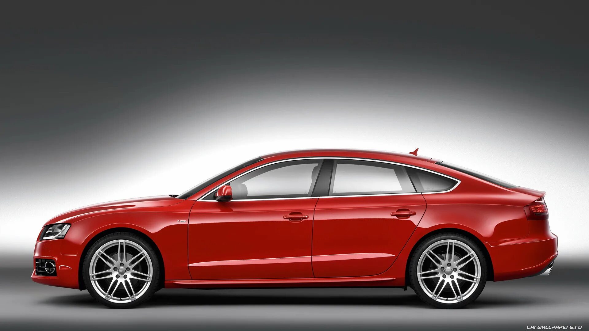 Flowing love. Наручные часы s. P. T s lines. T.