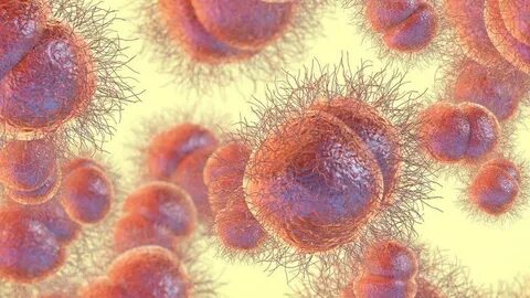 Желтый цвет инфекции