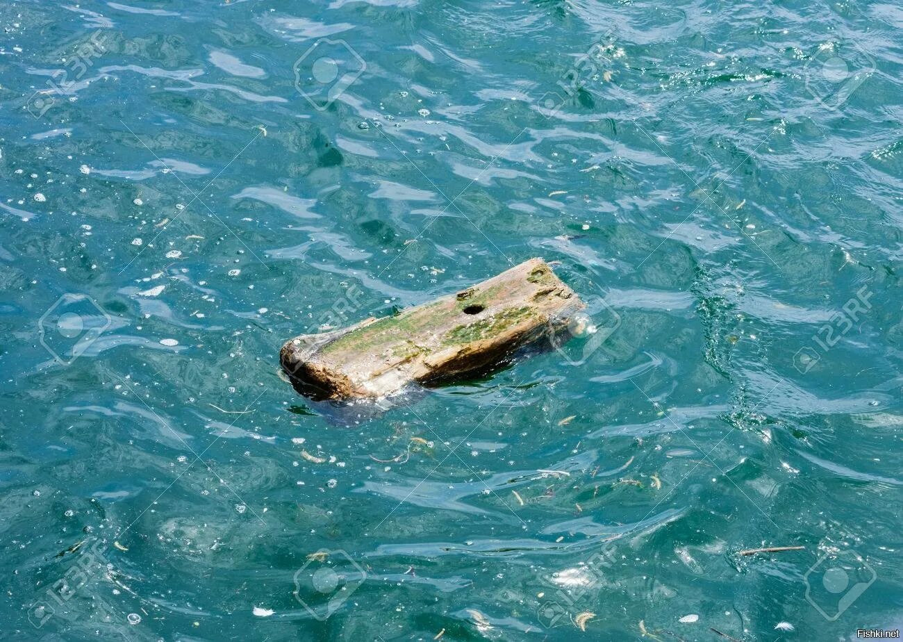 Утонувшее бревно. Деревяшка в воде. бревно в воде. доска на воде. деревянная доска плавает в воде.
