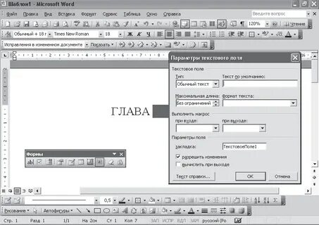 Word поле формат