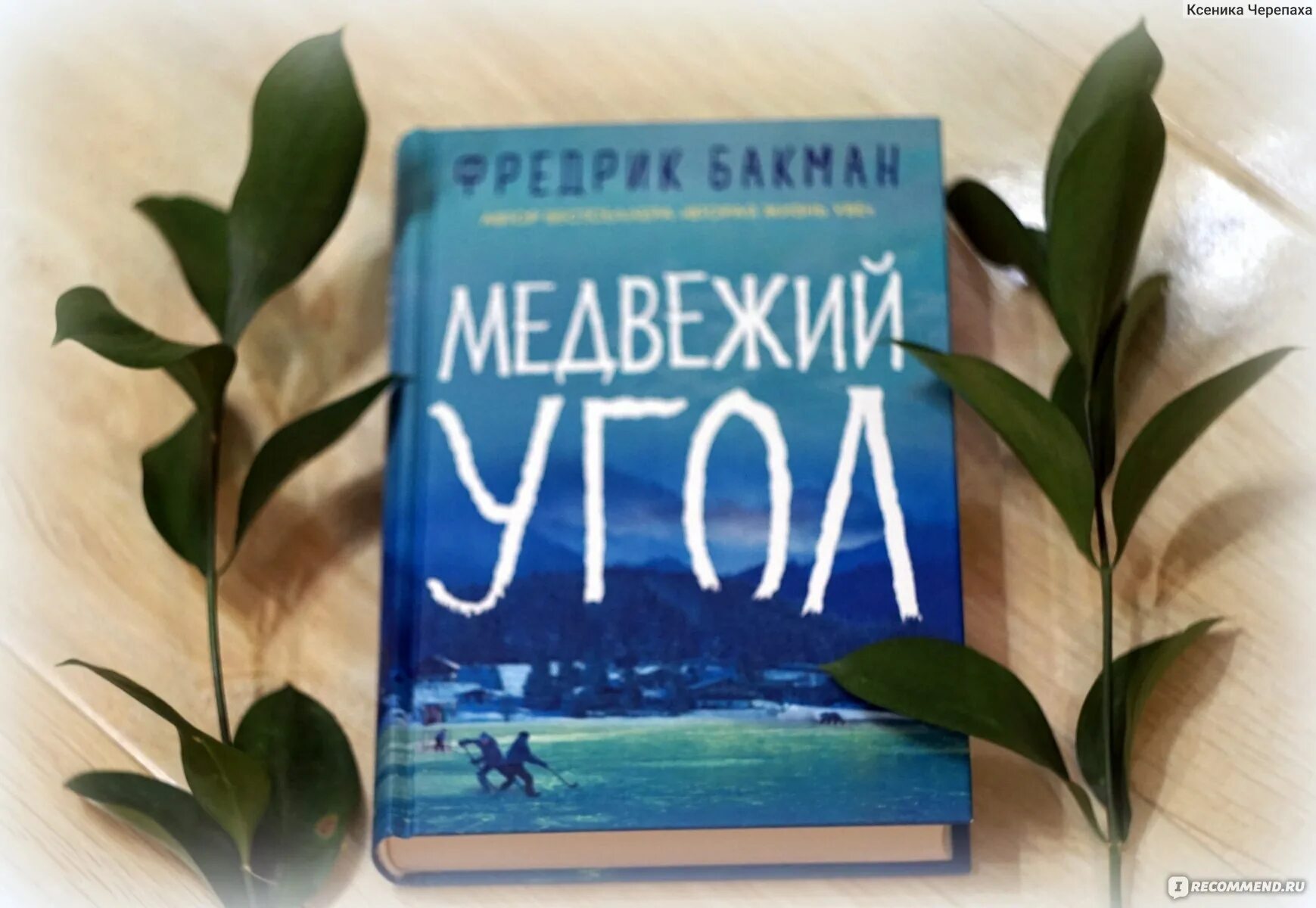 Медвежий угол аудиокнига слушать. Медвежий угол Бакман. Медвежий угол книга. Медвежий угол Фредрик Бакман книга. Медвежий уголок книга.