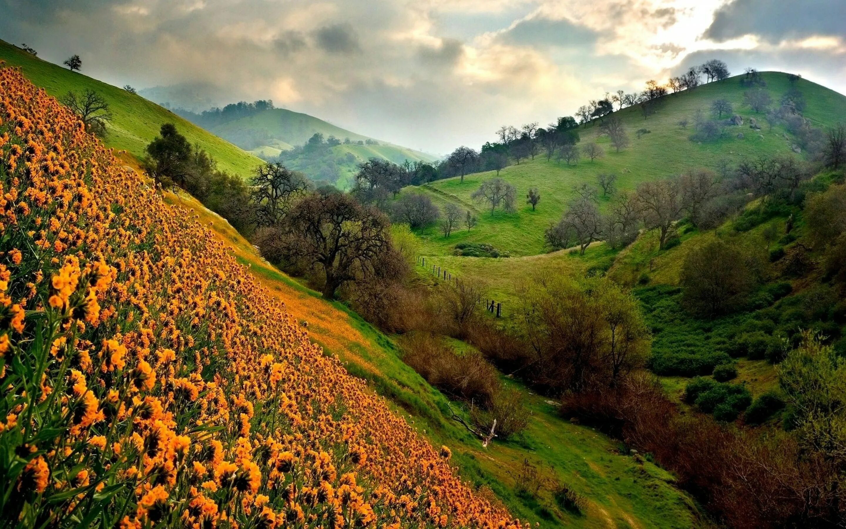 Flowers valley. Green Hills зеленые холмы Ирландии. Зеленые холмы Армения. Армения природа холмы. Холмы в Болгарии.