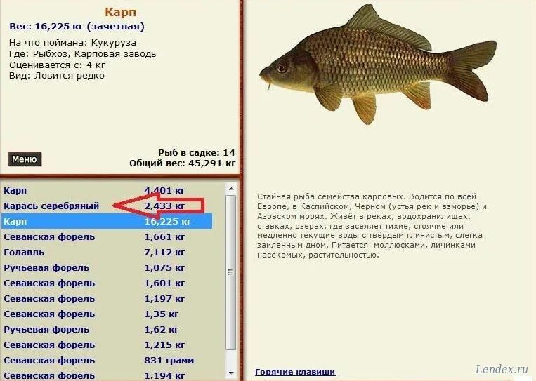 Волхов у дубравы русская рыбалка 3. Русская рыбалка 3 7 6 0 озеро плотва. Рыбу можно ловить где где. Рр3 хопер рыбец. Русская рыбалка 3 озеро локации.