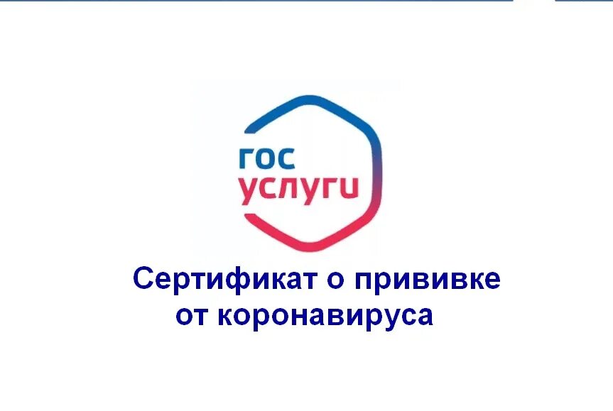 не приходит сертификат