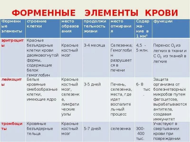 Какую функцию выполняют лейкоциты тромбоциты. Форменные элементы крови таблица лейкоциты. форменные элементы крови, их строение, количество и функции. форменные элементы крови и их функции кратко. состав и функции форменных элементов крови.