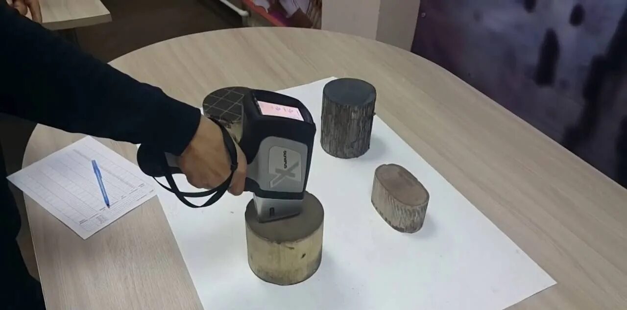 Сдать замереть. Сдать замереть. Строительные работы. Реакция «бей или беги». Бей беги или замри.