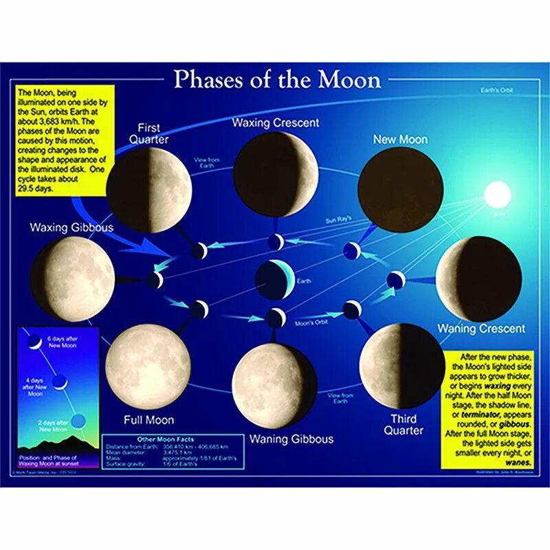 The moon goes round earth every 27. Moon phases. 8 phases of the moon. moon phases for kids. луна плакат.