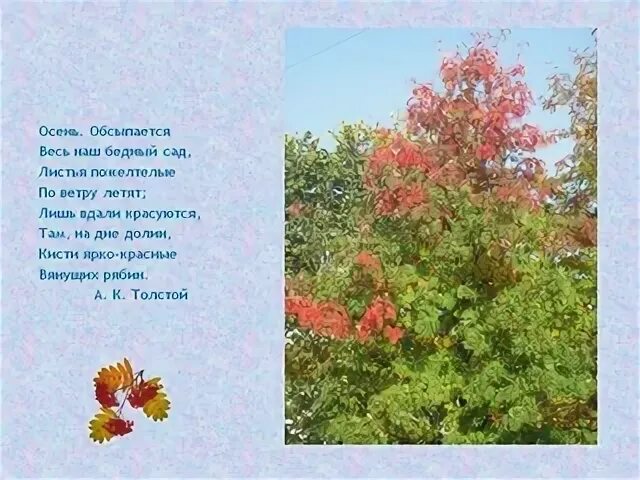 Листья пожелтелые по ветру летят автор