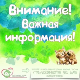 Нужна помощь животному