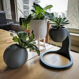 Plant series
