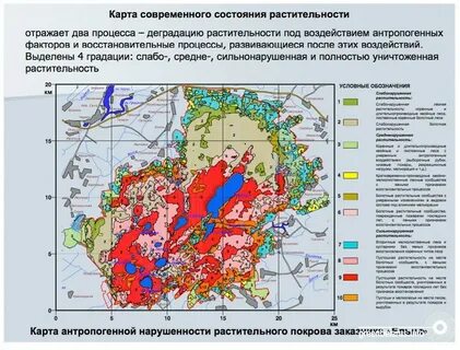 Карта экосистемы