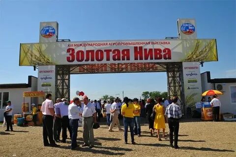 Золотая нива маршрут