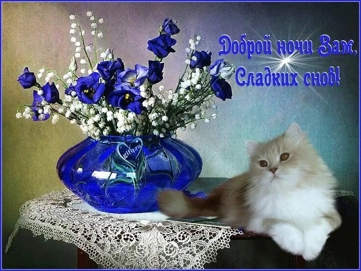 Доброго весеннего ночи. Доброго весеннего вечера. доброй красивой весенней ночи. добрый вечер с котиками открытки. открытки доброй весенней ночи.