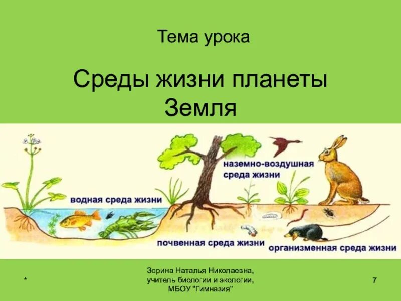 Жизнь организмов на планете земля 5. Жизнь и еда. Среды жизни. Среды жизни планеты земля. Среды жизни 5 класс биология.