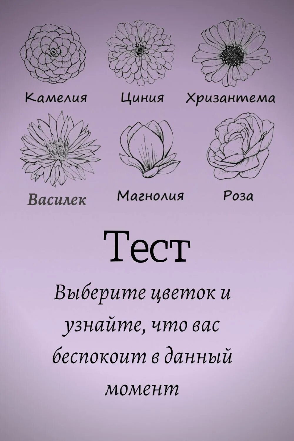 Цветок испытаний 50. Тест выбери цветок. Цветок испытаний 50. Цветок испытаний 50. Цветочный тест в картинках.