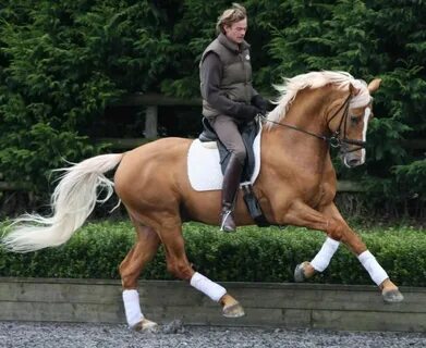 Riding real