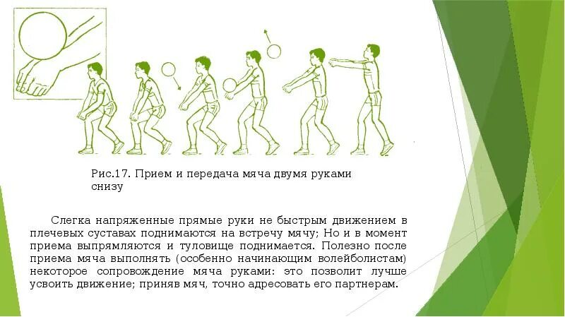 Техника выполнения передачи мяча снизу. Передача двумя руками снизу. Приём мяча снизу двумя руками. Передача мяча двумя руками снизу в тройках. Передачи мяча снизу двумя руками фото.