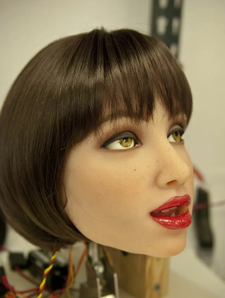 Realdoll