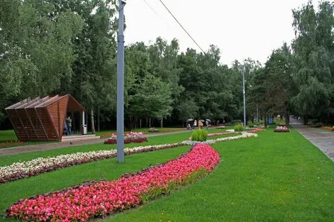Кузьминский парк 1