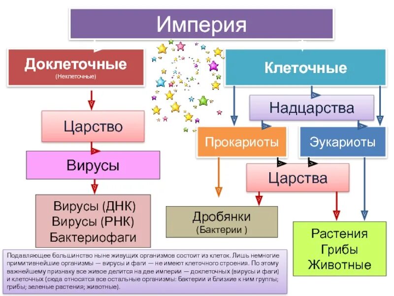 Прокариоты вирусы бактерии. К какому царству относят вирусы. Царство дробянки классификация. Империя клеточных организмов таблица. Империя доклеточные и клеточные.