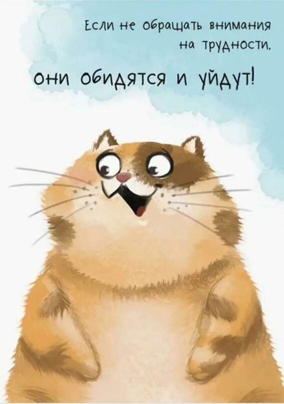 Высказывание про внимание. Короче не обращай внимания. Статусы про слухи и сплетни прикольные. Цитаты про людей и внимание. Афоризмы про внимание.