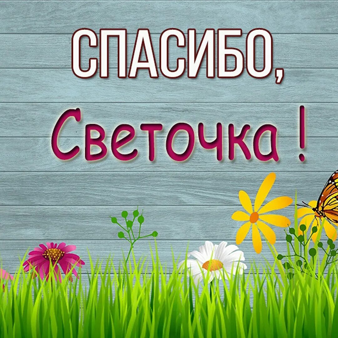 Хорошо спасибо давай. Спасибо маргарита. спасибо светочка. спасибо володя. открытка спасибо володя.
