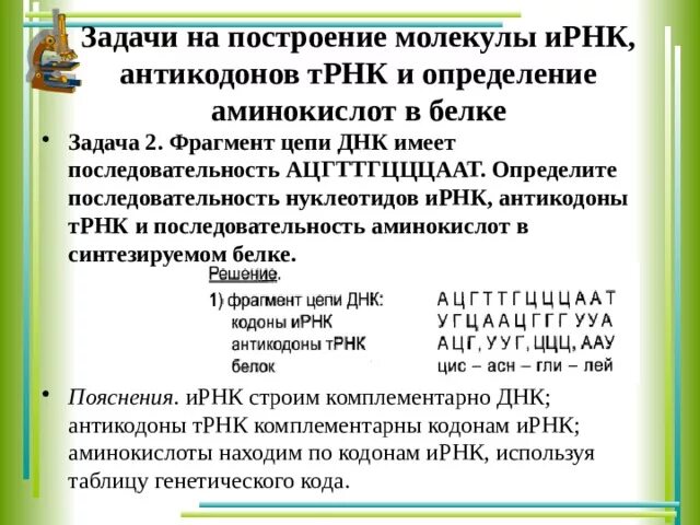 Определите антикодоны ТРНК. Как найти анти коды ТРНК. Как найти натикодоны РНК. Задания на антикодоны.