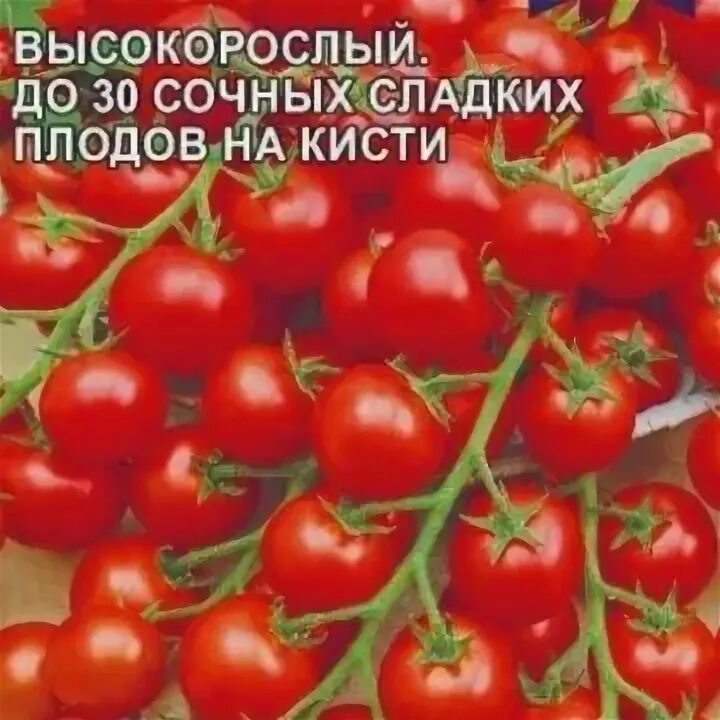 Семена сладких томатов черри. Томат сладкое дерево семена алтая. цифомандра антарес (томатное дерево). семена алтая томатное дерево. помидоры сладкая парочка.