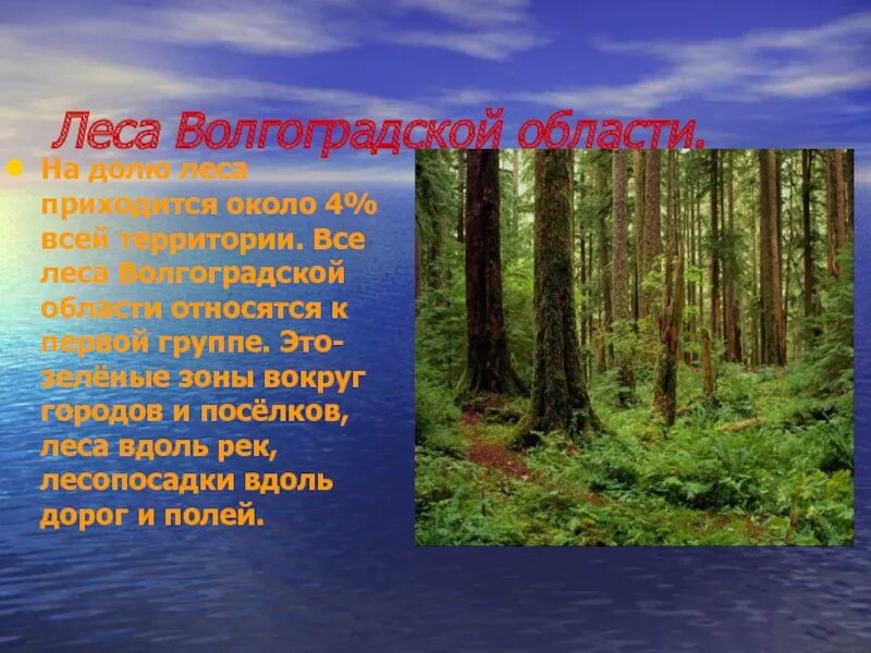 Лес Волгоградской области. Растительный, и животный мир почвы Волгоградской области. Леса Волгоградской области. Разнообразие природы Волгоградской области. Рассказ о сообществе родного края