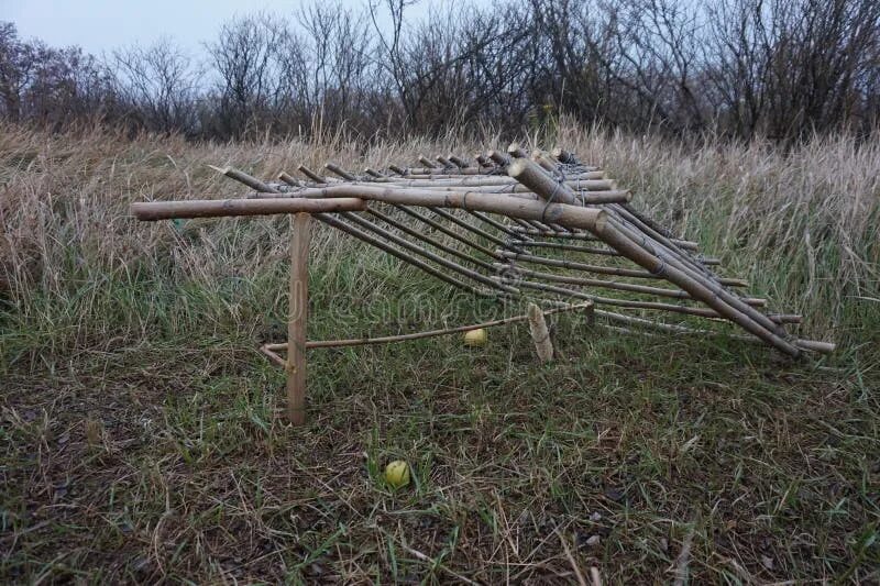 Чертежи ловушки фазана. ЛОВУШКА для фазана пирамида. Клетка самолов на фазана. ЛОВУШКА пирамида на фазана схема. ЛОВУШКА на фазана Фаэтон