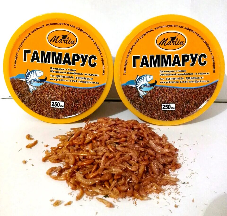 Можно ли кормить гаммарусом