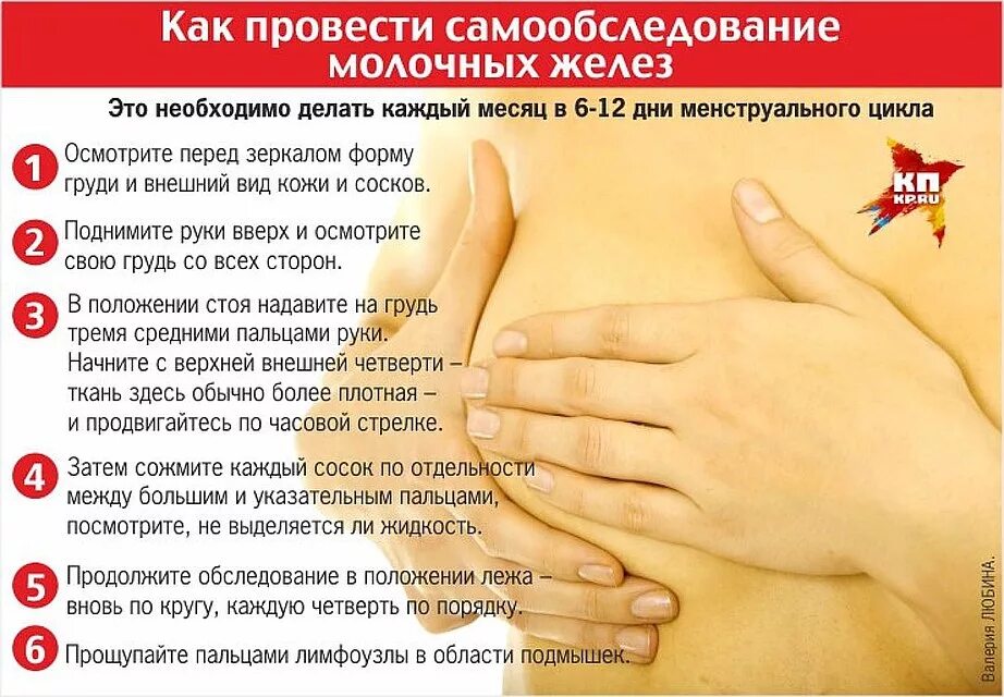 Когда делать узи молочных. Памятка самообследование молочных желез у женщин. узи молочных желез дни цикла. когда лучше делать узи грудной железы. циклы обследования молочных желез.
