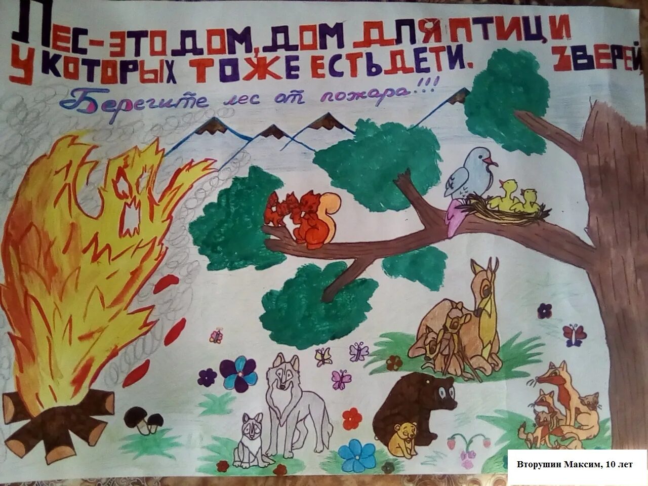 Берегите лес конкурс. Плакат сохраним лес. плакат охрана леса. рисунок на тему защита леса. плакат берегите лес от пожара.
