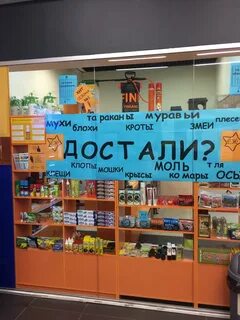 Магазин еж