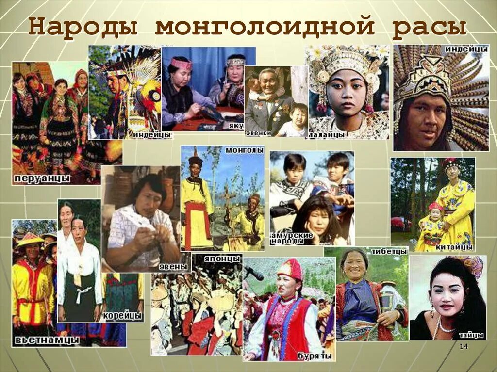 Группы народов примеры. Монголоидная раса народы. Народы России монголоидной расы. Монголоидная раса народы национальности. Народы относящиеся к монголоидной расе.
