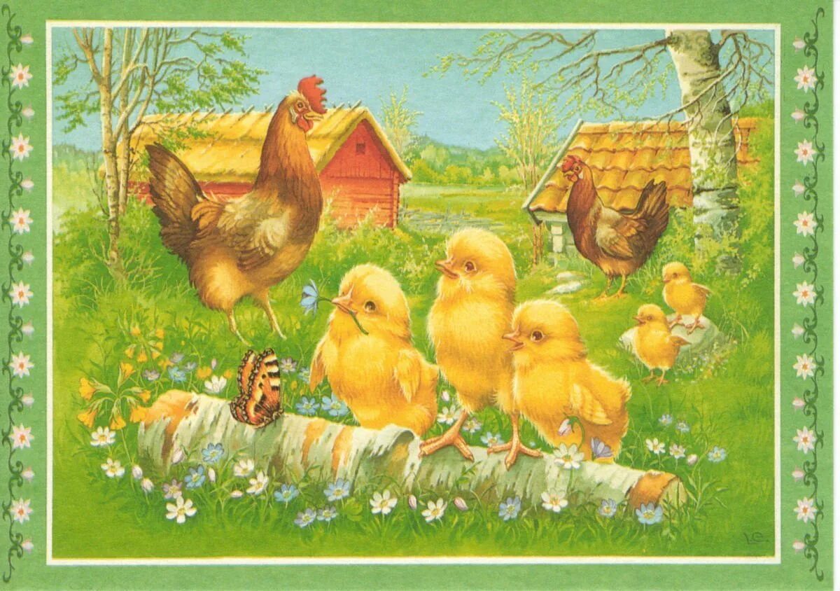 Читать здравствуй курица. Занятие "Курочка и цыплята" Бондаренко. Курочка с цыплятами. Картина курица с цыплятами. Курочка с цыплятами для детей.