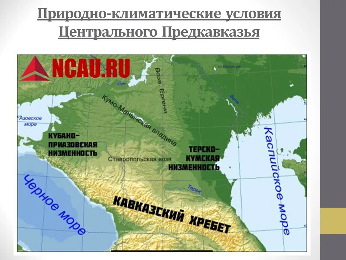 Терско кумская низменность на карте. Рельеф кавказа карта. Кумонанычевская впадина. Ставропольская возвышенность северный кавказ. Геологическое строение ставропольского края.