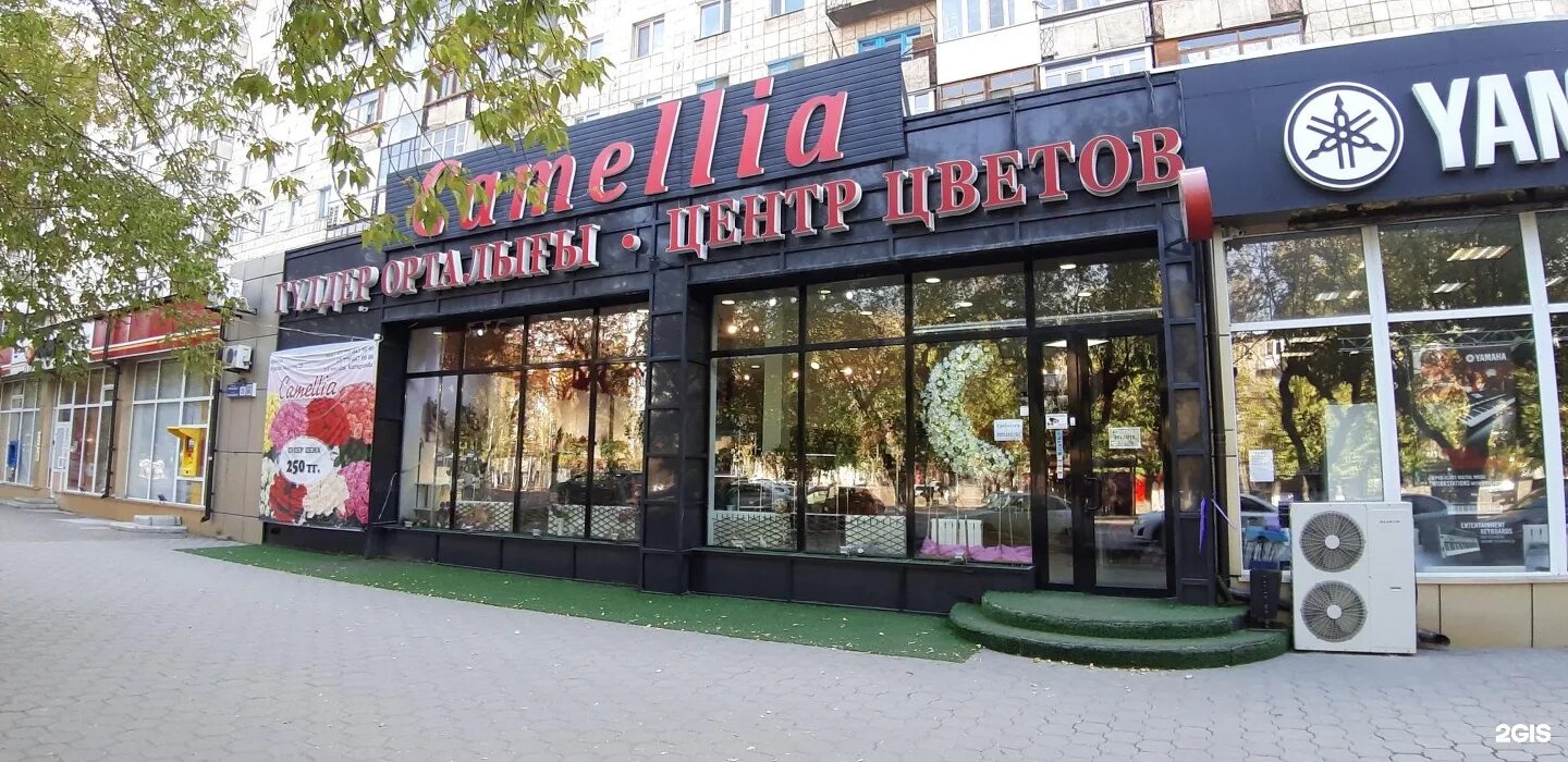 Банкетный зал камелия тамбов. Салон красоты тольятти центральный район. Город хасавюрт улица грозненская 90. Камелия аптека в хасавюрте. Кафе тарковский махачкала.