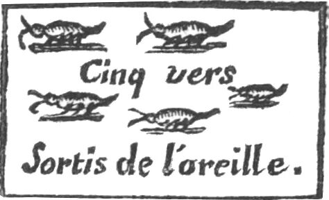 Des vers